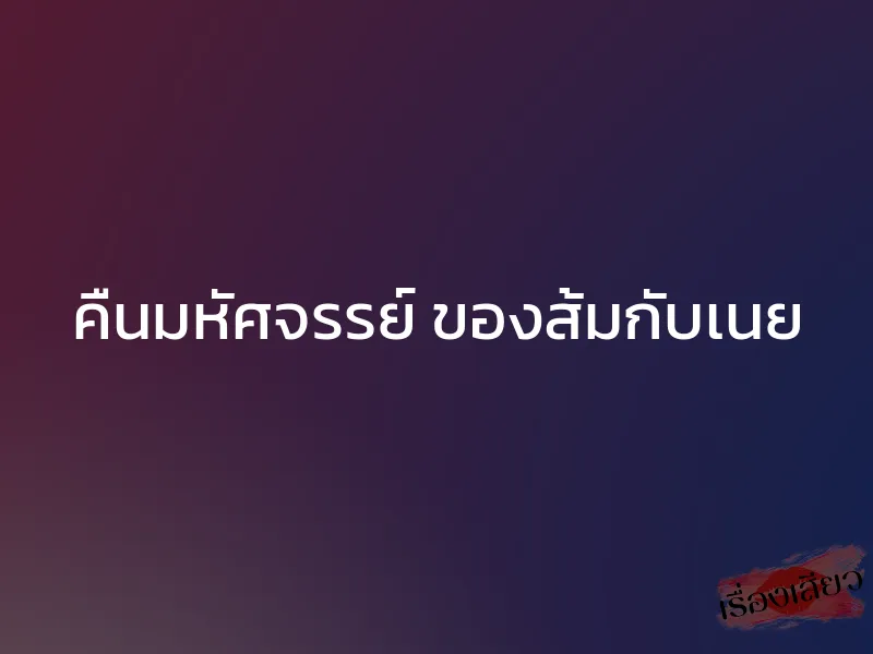 คืนมหัศจรรย์ ของส้มกับเนย 1 คืนมหัศจรรย์ ของส้มกับเนย