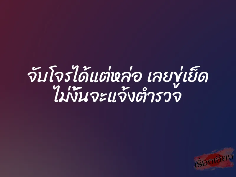 จับโจรได้แต่หล่อ เลยขู่เย็ด ไม่งั้นจะแจ้งตำรวจ 10 จับโจรได้แต่หล่อ เลยขู่เย็ด ไม่งั้นจะแจ้งตำรวจ