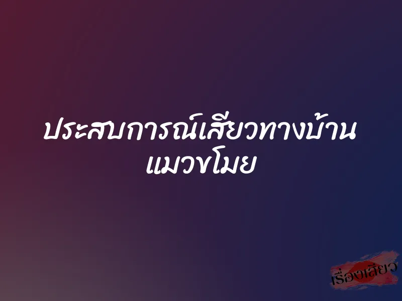 ประสบการณ์เสียวทางบ้าน แมวขโมย 1 ประสบการณ์เสียวทางบ้าน แมวขโมย