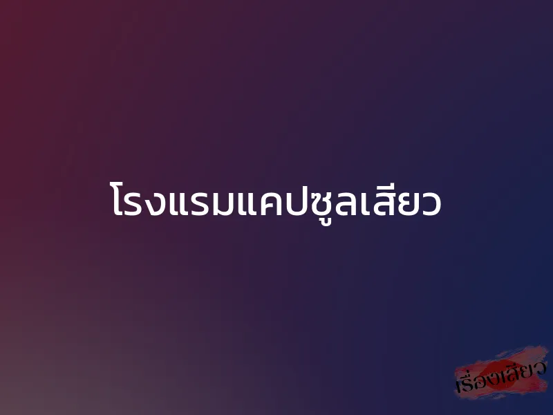 โรงแรมแคปซูลเสียว 1 โรงแรมแคปซูลเสียว